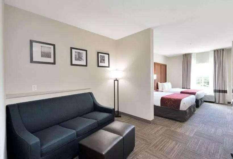 Отель Comfort Suites University