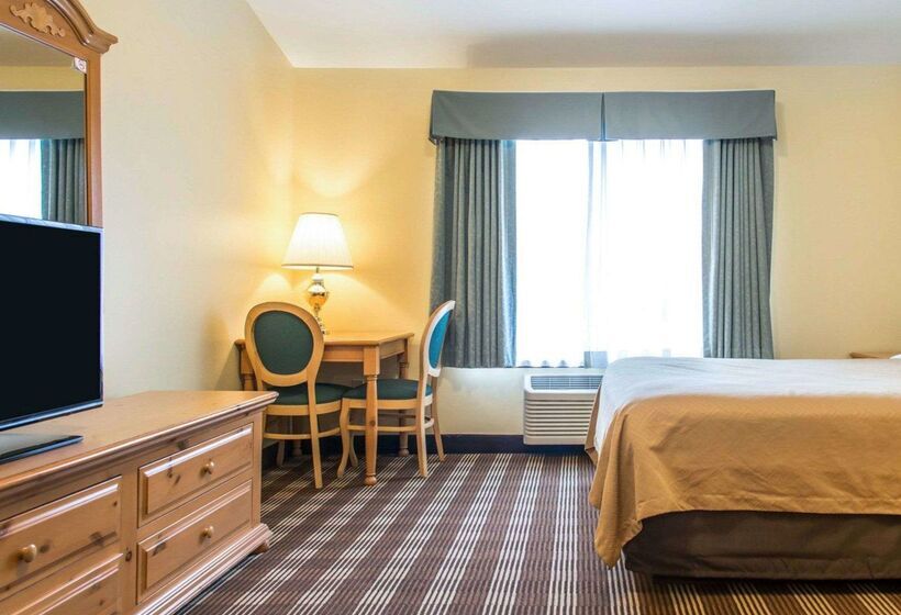 호텔 Econo Lodge Inn & Suites