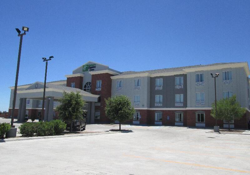 Holiday Inn Express Hotel And Suites Fort Stockton, An Ihg
