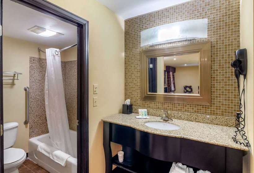 ホテル Quality Inn