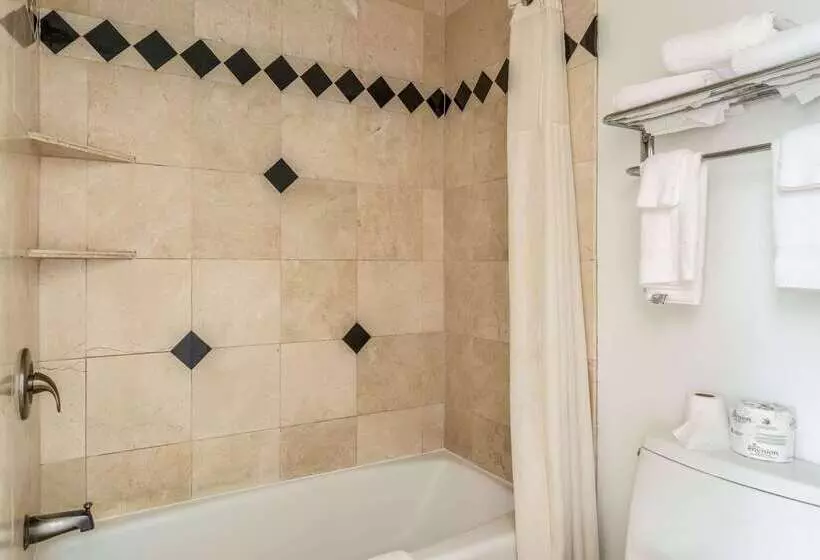 Hotelli Inn At University