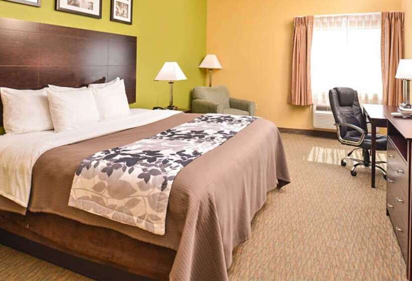 فندق Sleep Inn And Suites Downtown Houston