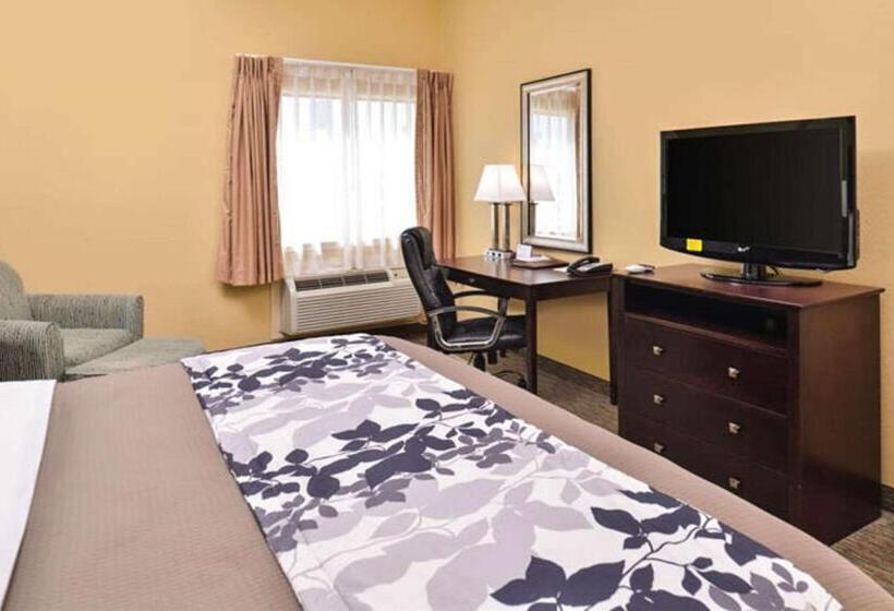 فندق Sleep Inn And Suites Downtown Houston