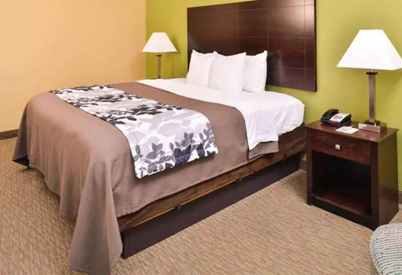 Hotel Sleep Inn And Suites Downtown Houston