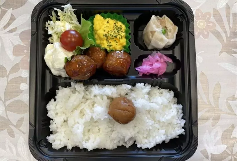 Отель Toyoko Inn JR Wakayama-eki Higashi-guchi