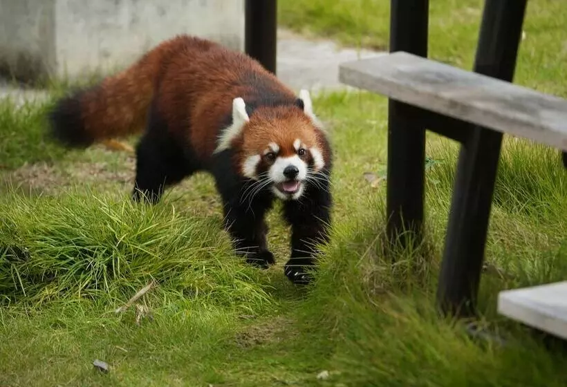 Hotell Prince Smart Inn Nagoya Sakae