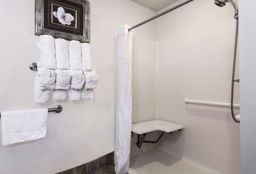 ホテル Wingate By Wyndham Athens Ga