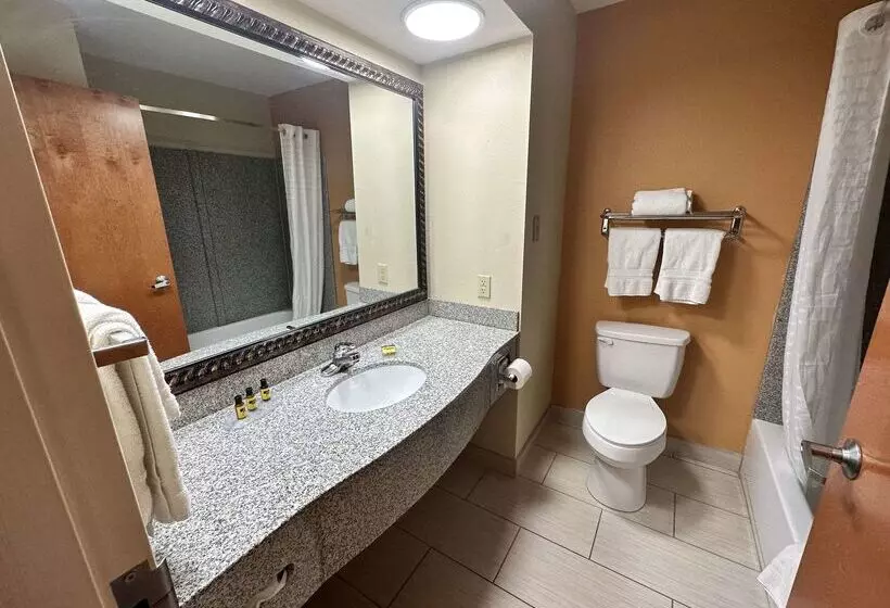 Best Western Plus Bass Hotel & Suites