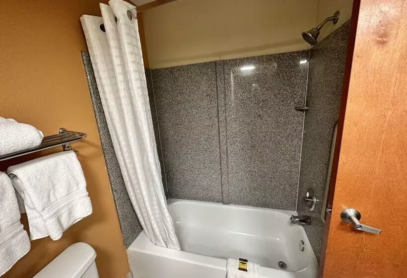 Best Western Plus Bass Hotel & Suites