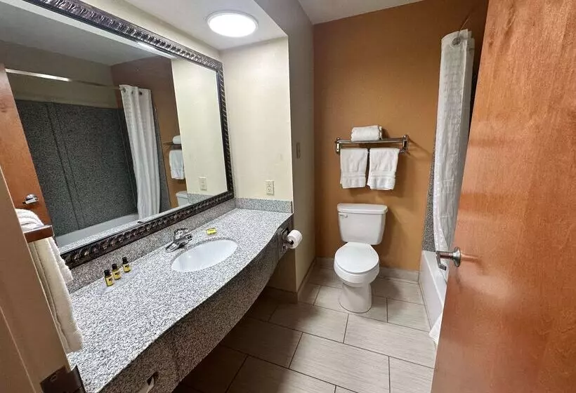 Best Western Plus Bass Hotel & Suites