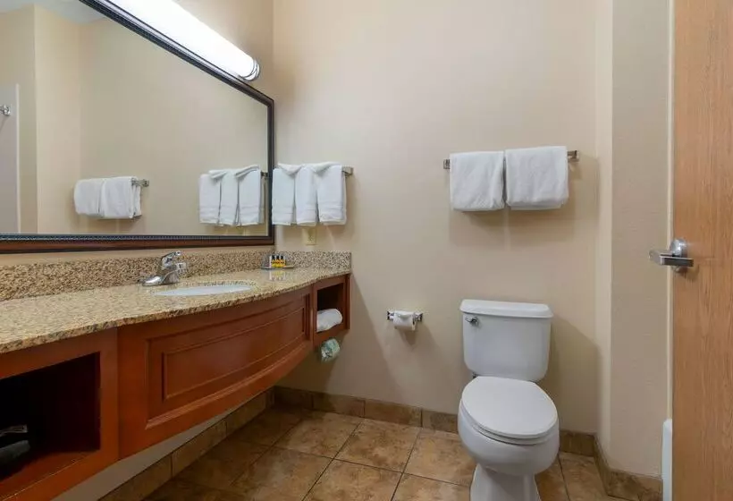 酒店 Best Western Plus Butterfield Inn