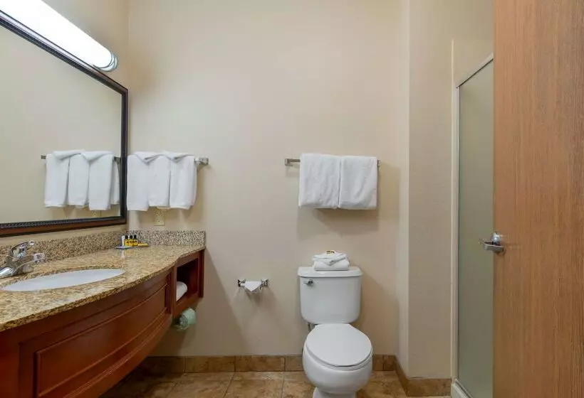 酒店 Best Western Plus Butterfield Inn