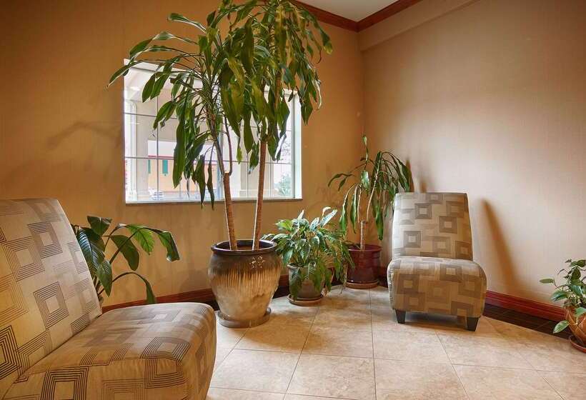 בית מלון כפרי Best Western Inn & Suites Cleveland