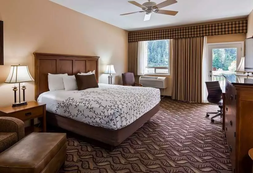 酒店 Best Western Lodge At River S Edge