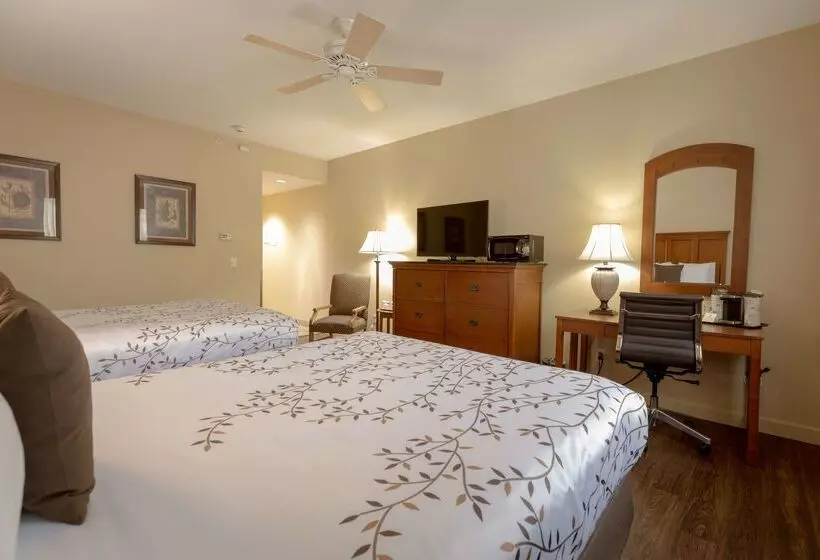 酒店 Best Western Lodge At River S Edge
