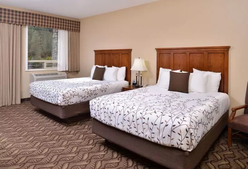 酒店 Best Western Lodge At River S Edge