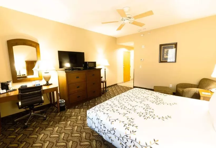 酒店 Best Western Lodge At River S Edge