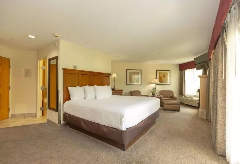 酒店 Best Western Lodge At River S Edge