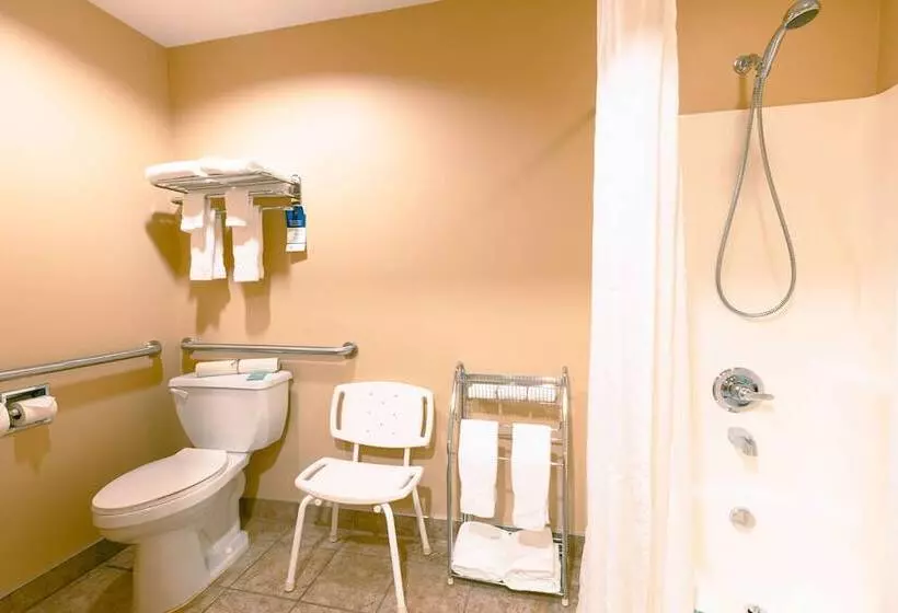 酒店 Best Western Lodge At River S Edge