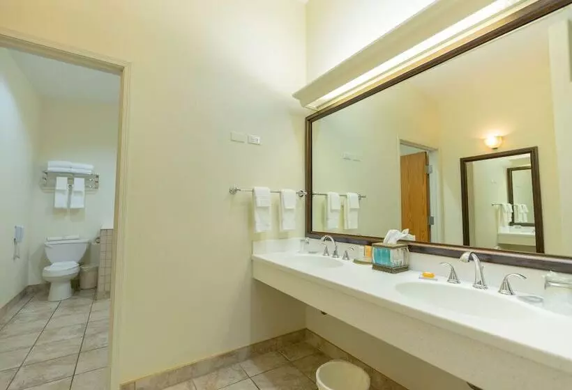 酒店 Best Western Lodge At River S Edge