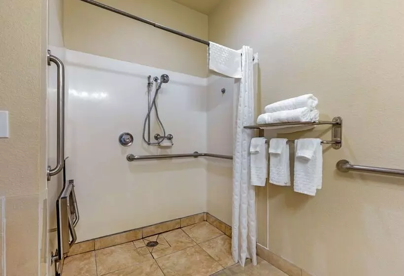 酒店 Best Western La Grange Inn & Suites