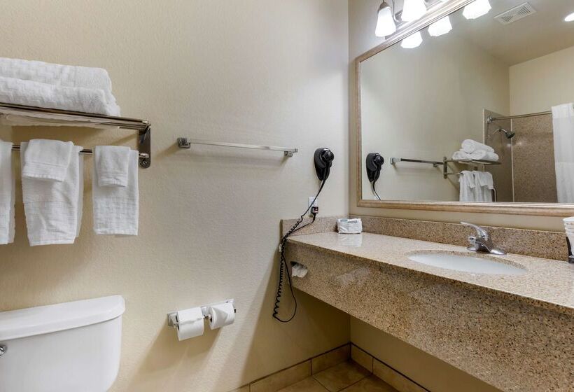 בית מלון כפרי Best Western La Grange Inn & Suites