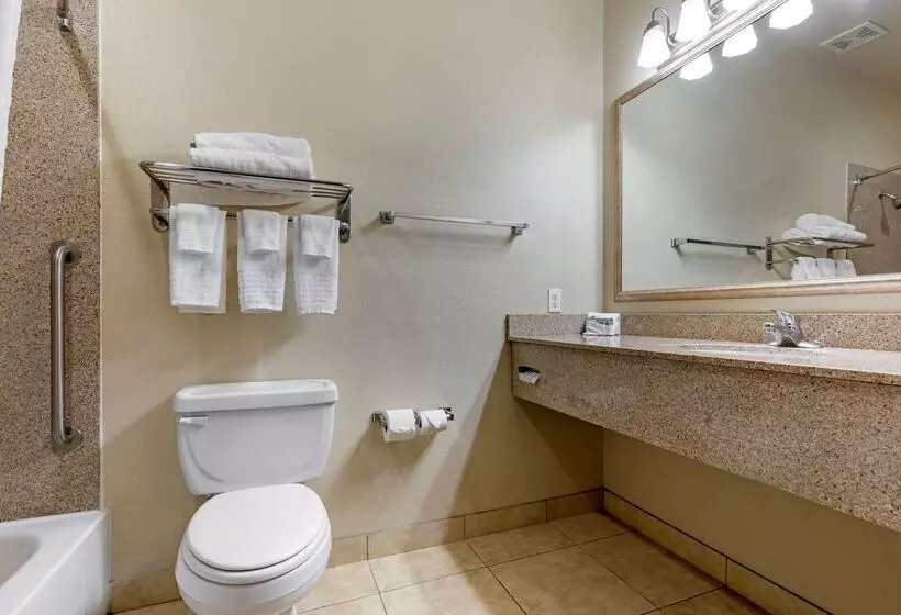 酒店 Best Western La Grange Inn & Suites