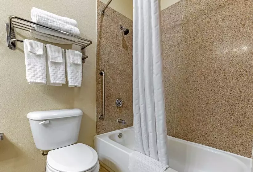 酒店 Best Western La Grange Inn & Suites