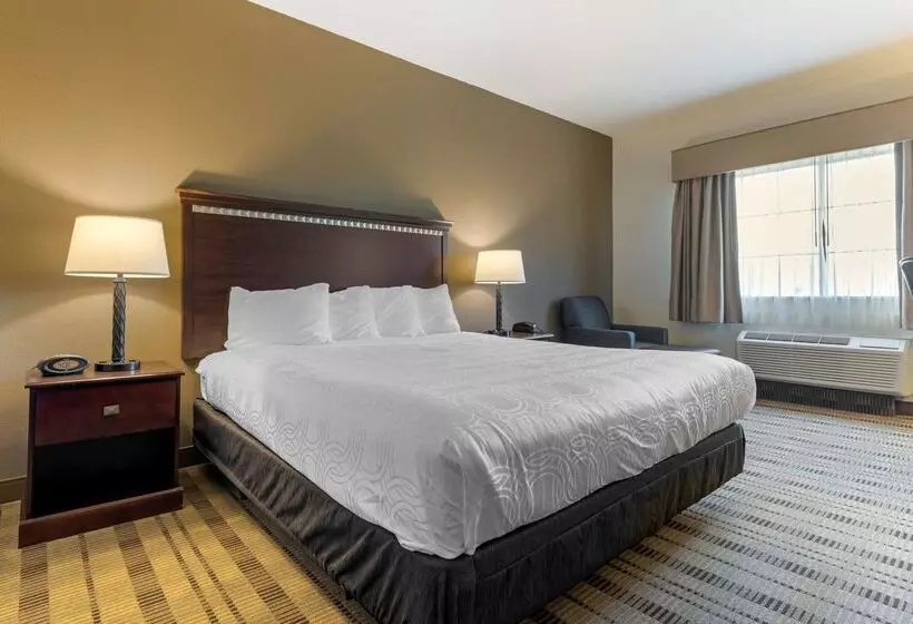 酒店 Best Western La Grange Inn & Suites