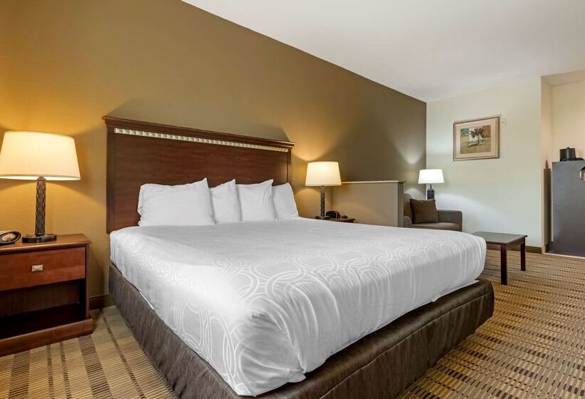 בית מלון כפרי Best Western La Grange Inn & Suites