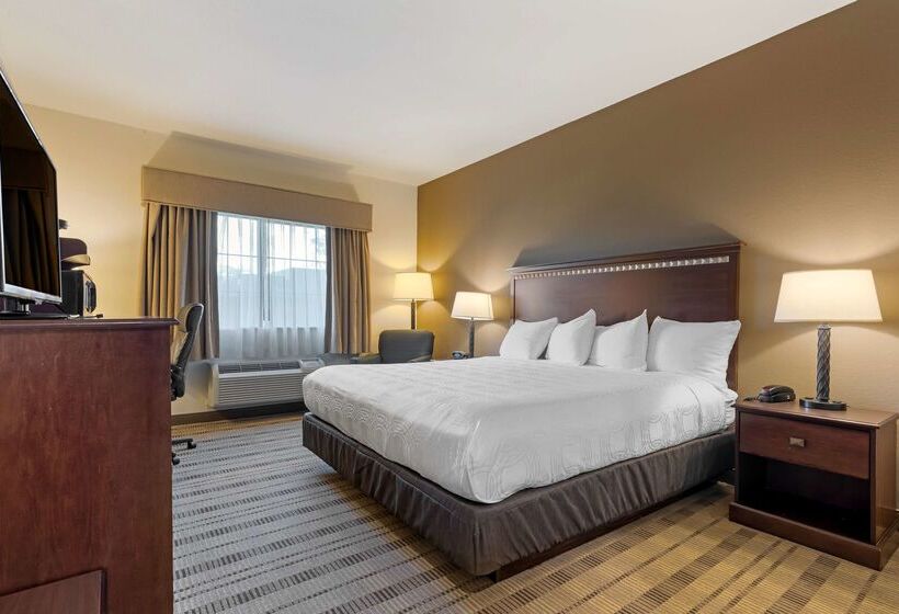 בית מלון כפרי Best Western La Grange Inn & Suites