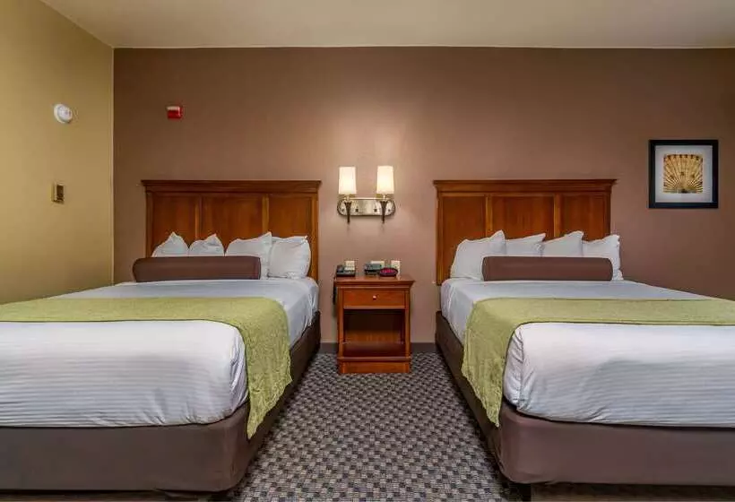 호텔 Best Western Plus Shamrock Inn & Suites