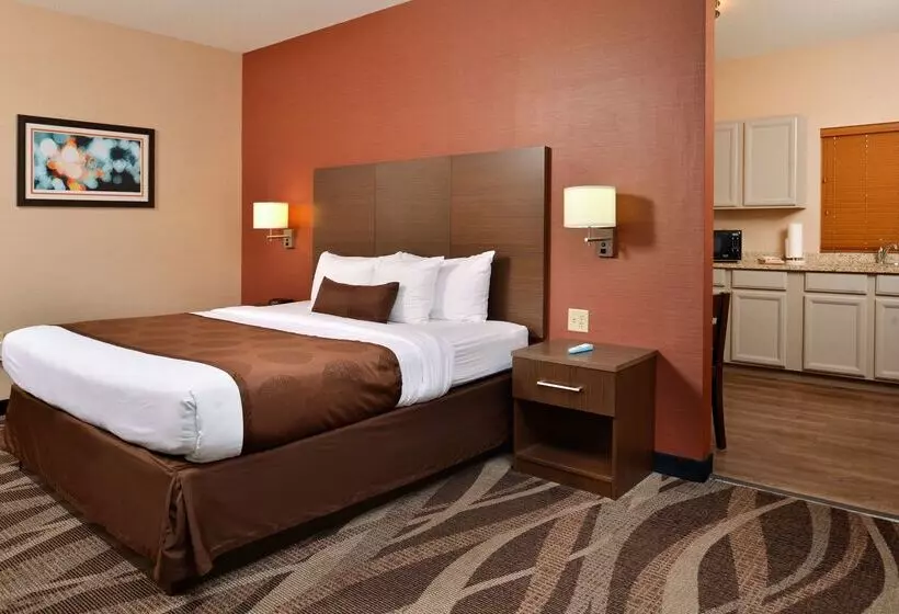 酒店 Best Western Plus University Inn