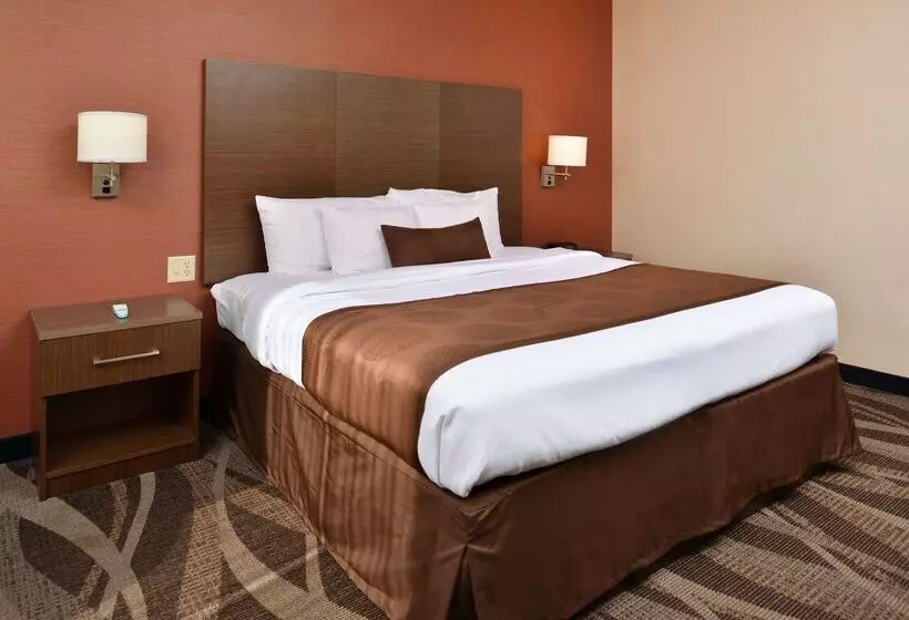 酒店 Best Western Plus University Inn