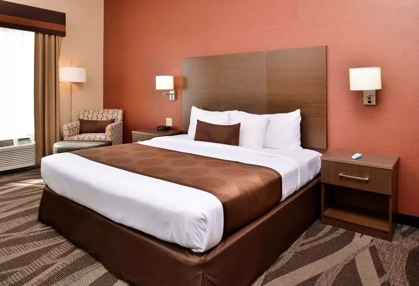 酒店 Best Western Plus University Inn