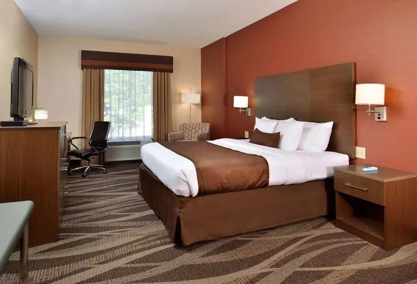 酒店 Best Western Plus University Inn