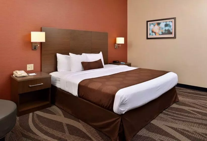 酒店 Best Western Plus University Inn