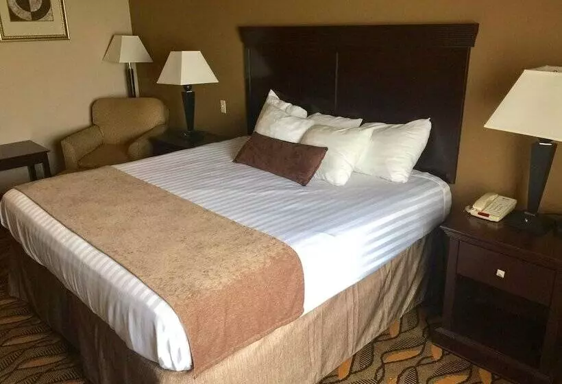 Отель Best Western Red River Inn & Suites