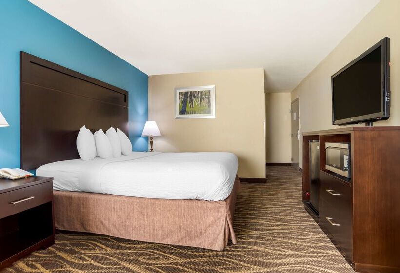 酒店 Best Western Ville Platte