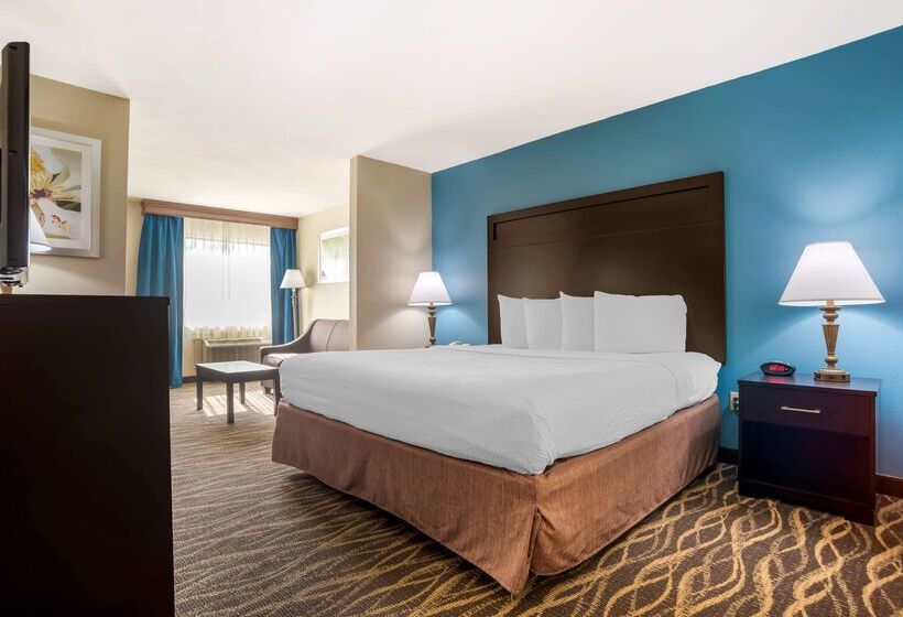 酒店 Best Western Ville Platte