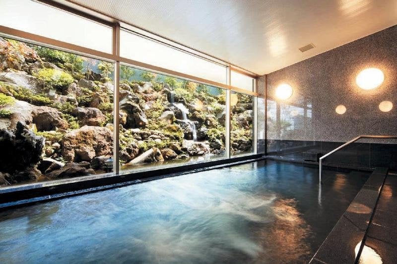 酒店 Diasmont Niigatanishi