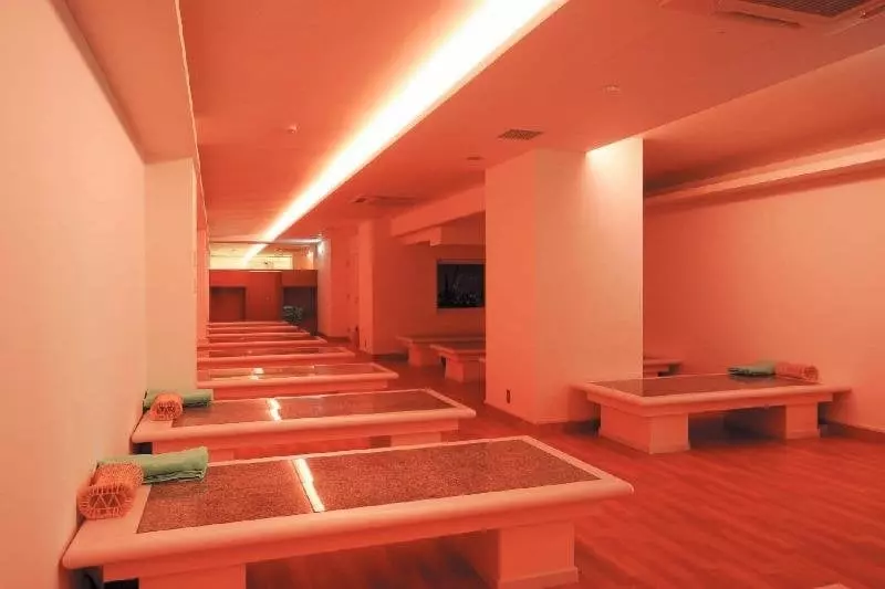 Отель Diasmont Niigatanishi