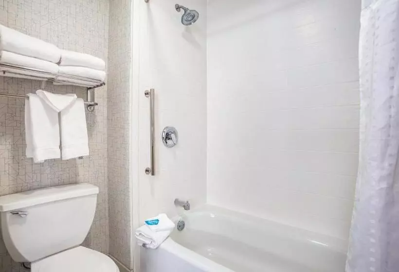 בית מלון כפרי Holiday Inn Express Wisconsin Dells, An Ihg