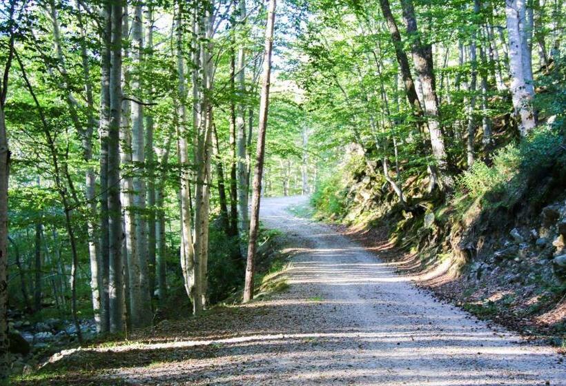 호텔 Hôtel Restaurant U Castellu Vizzavona