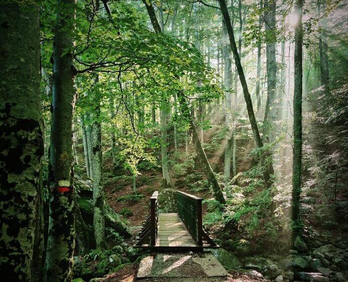 호텔 Hôtel Restaurant U Castellu Vizzavona