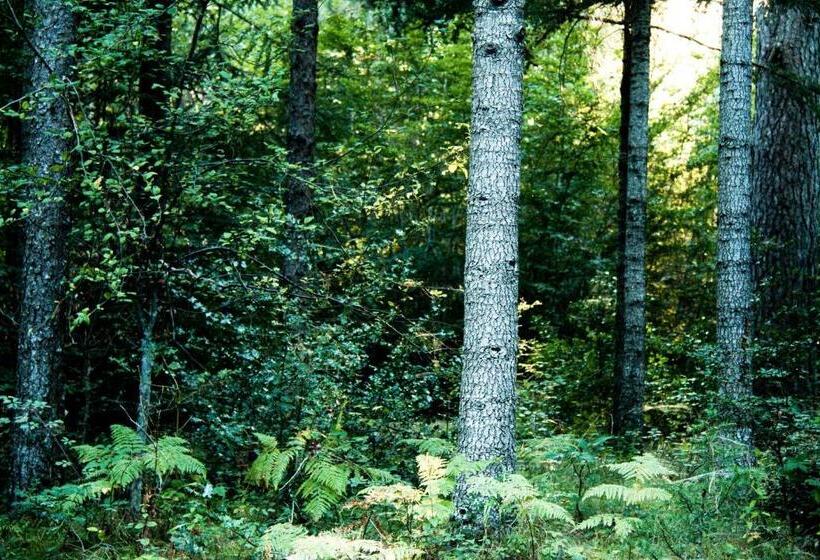 호텔 Hôtel Restaurant U Castellu Vizzavona