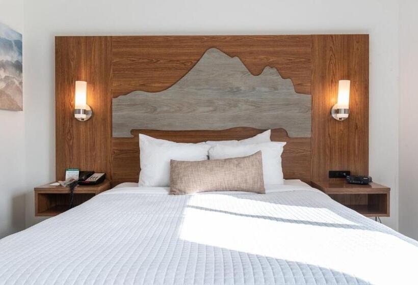 Hotel Marshall Suites