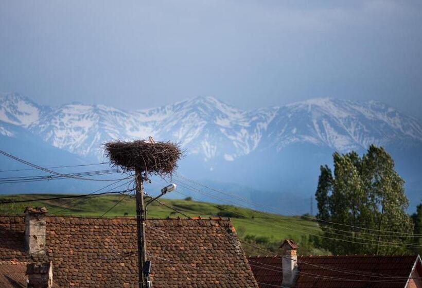בית מלון כפרי Casa Mosului