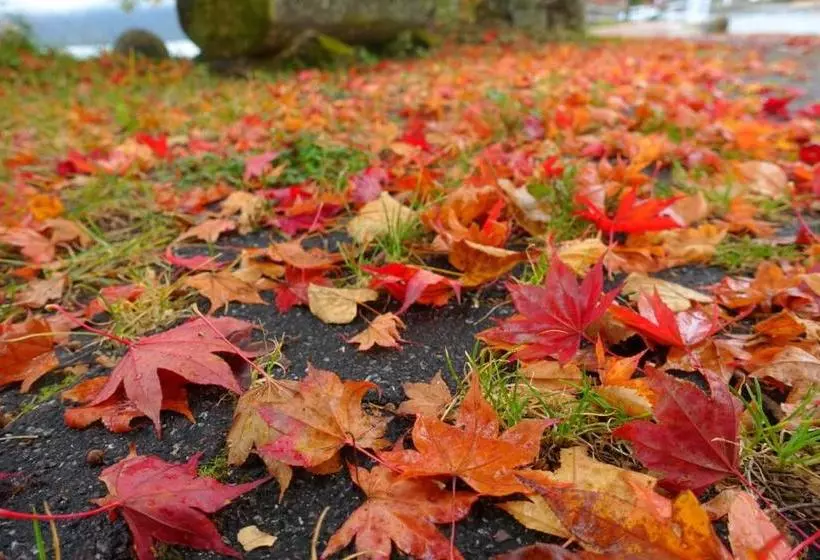 בית מלון כפרי Chuzenji Pension