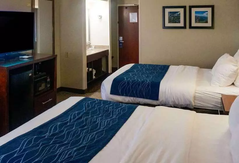 Отель Comfort Inn & Suites Conway